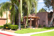 This photo is the visual representation of community advantages at Laurel Palms Apartments.